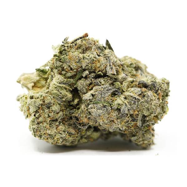 Big Bud